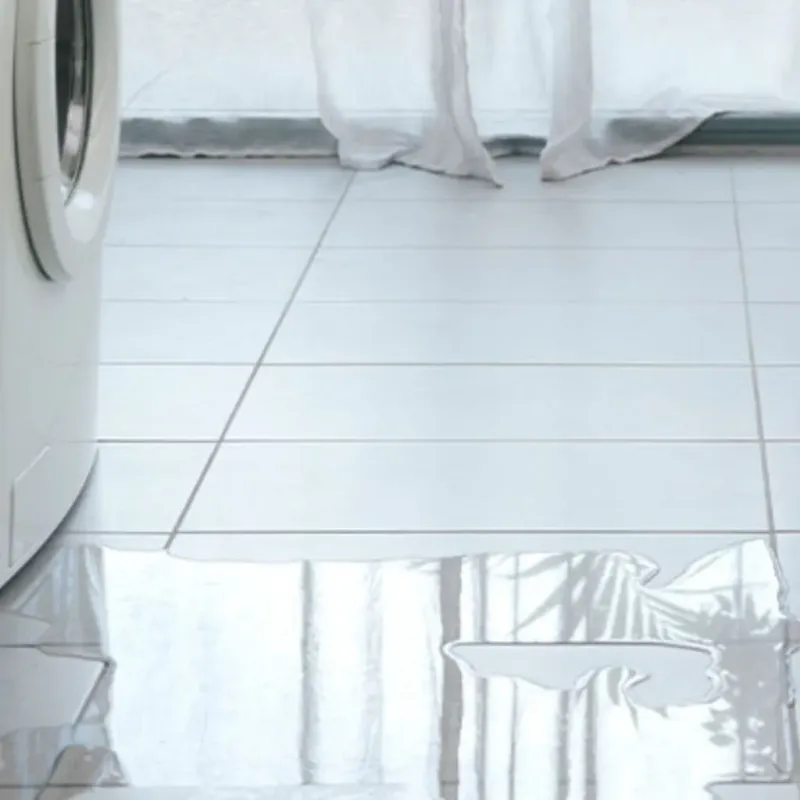 Appliance Leak Cleanup in Wellington, TX