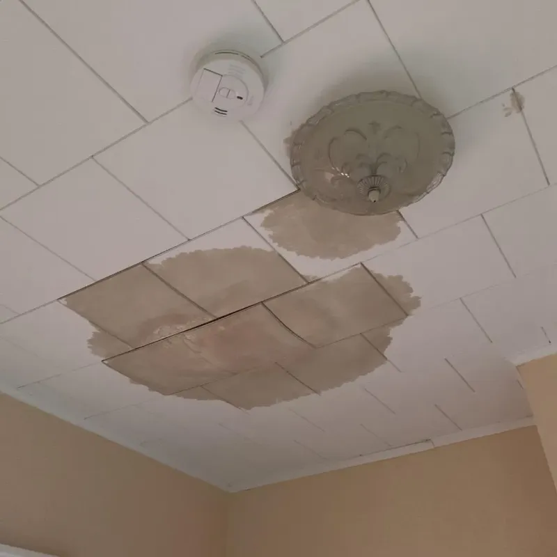 Ceiling Water Damage Repair in Wellington, TX