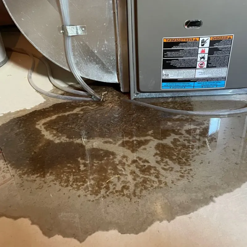 Pipe Burst and Leak Restoration in Wellington, TX
