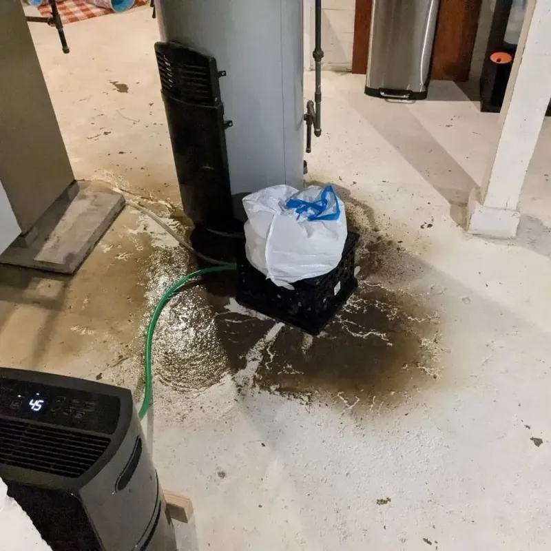 Sewage Backup Cleanup Service in Wellington, TX
